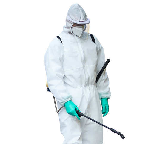 Избавляем от насекомых, грызунов и инфекций