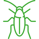 Дезинсекция