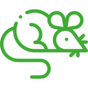 Дератизация